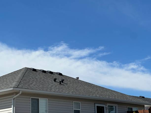 Best Gutter Installation and Repair  in Campbell, OH